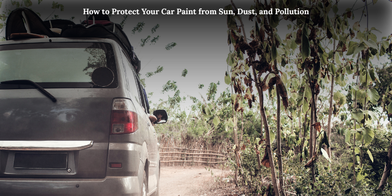 How to Protect Your Car Paint from Sun, Dust, and Pollution